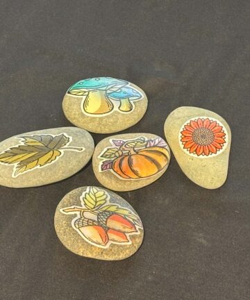Autumn Stones – great to add to any Sensory Activity