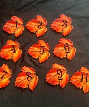 UV Printed Autumn Leaf Numbers an ideal Numeracy aid especially when used with Autumn or Nature play