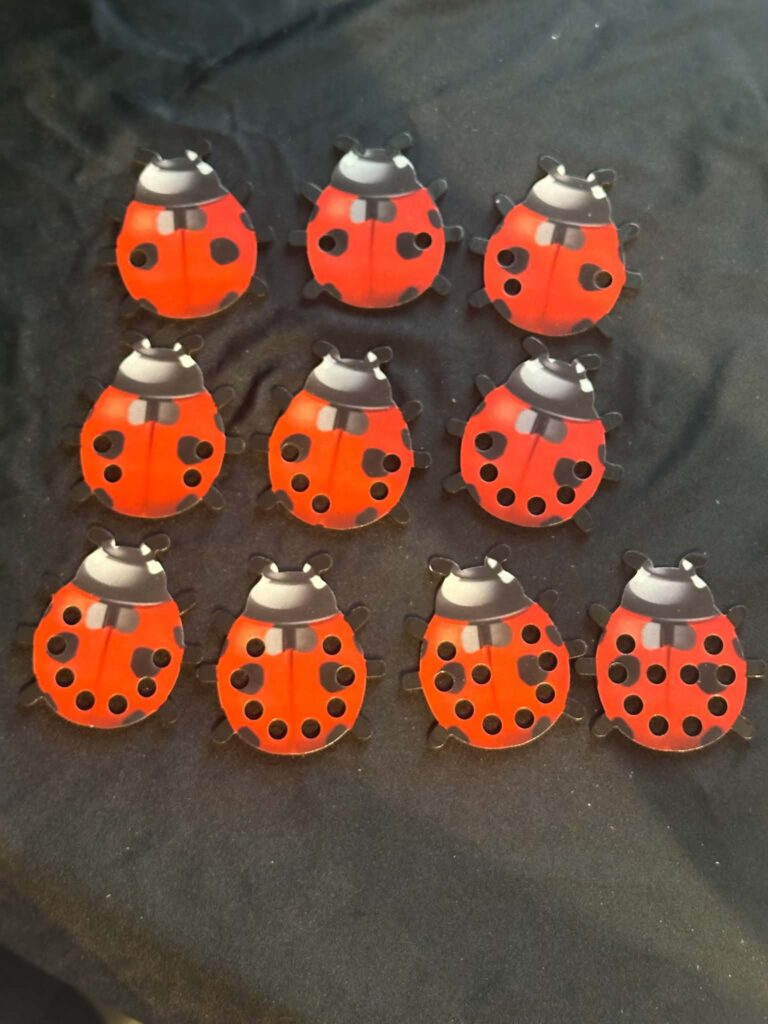 UV Printed Ladybird Numbers an ideal Numeracy aid especially when used with any mini beast activity
