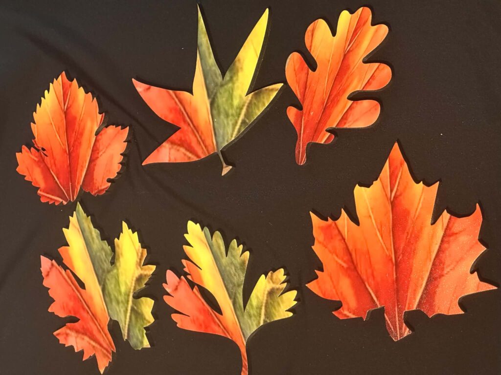 Autumn leaf set of 6 Full coloured UV printed