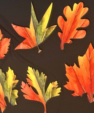 Autumn leaf set of 6 Full coloured UV printed