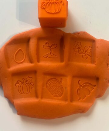 Pumpkin Life Cycle Block - Great for Play Dough or Moon Sand